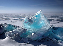 【球星集锦】NBA 24-25赛季30大海报扣篮：哪一球是心目中的最佳？